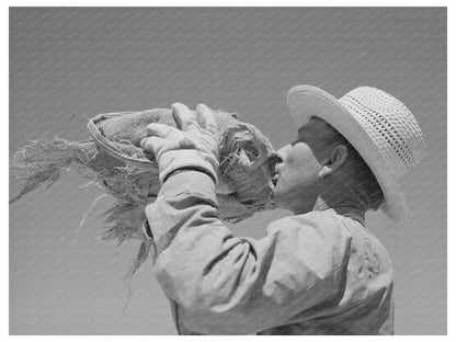 1940 Farmworker in Pinal County Arizona Hay Field