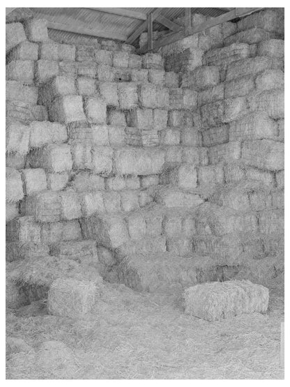 Baled Hay Storage at Casa Grande Valley Farms 1940