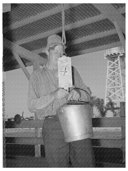 Weighing Milk at Casa Grande Valley Farms Arizona 1940