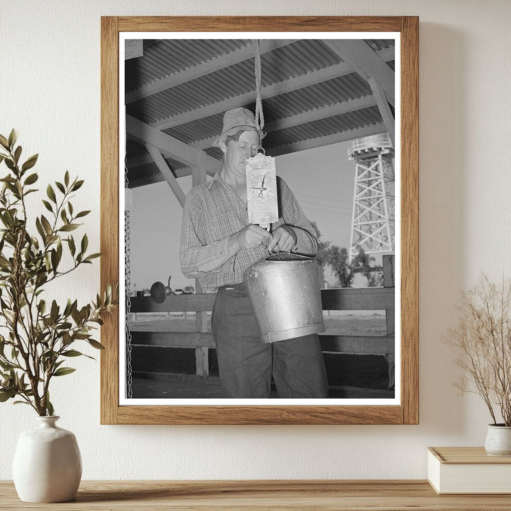 Weighing Milk at Casa Grande Valley Farms Arizona 1940