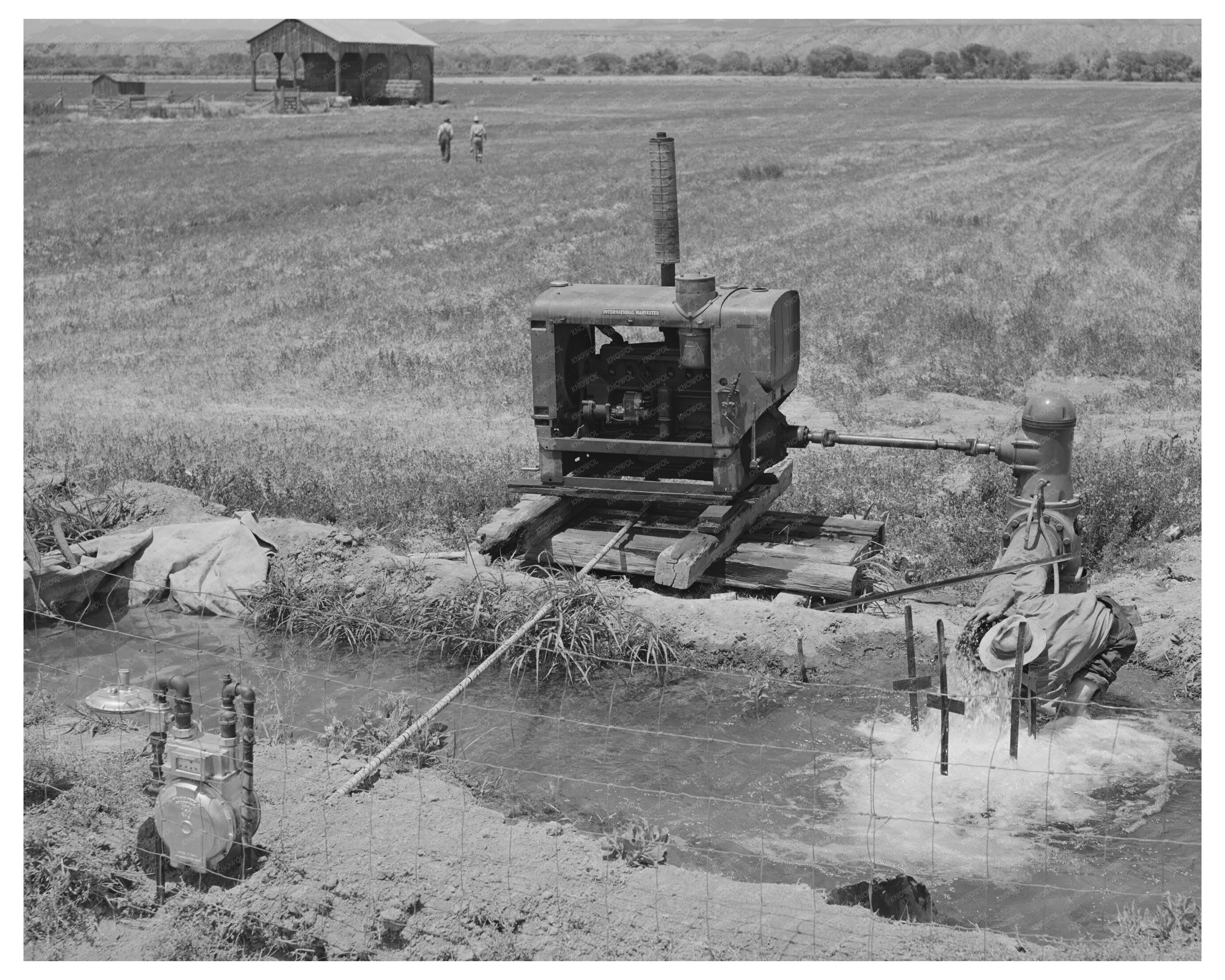 Agricultural Activities in Solomonsville Arizona 1940