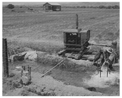 Irrigation in Solomonsville Arizona May 1940