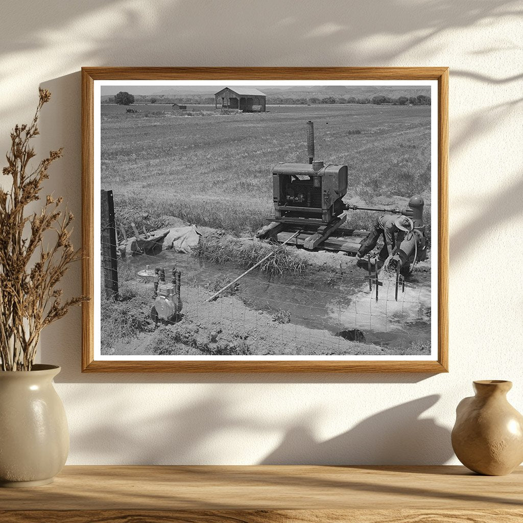 Irrigation in Solomonsville Arizona May 1940