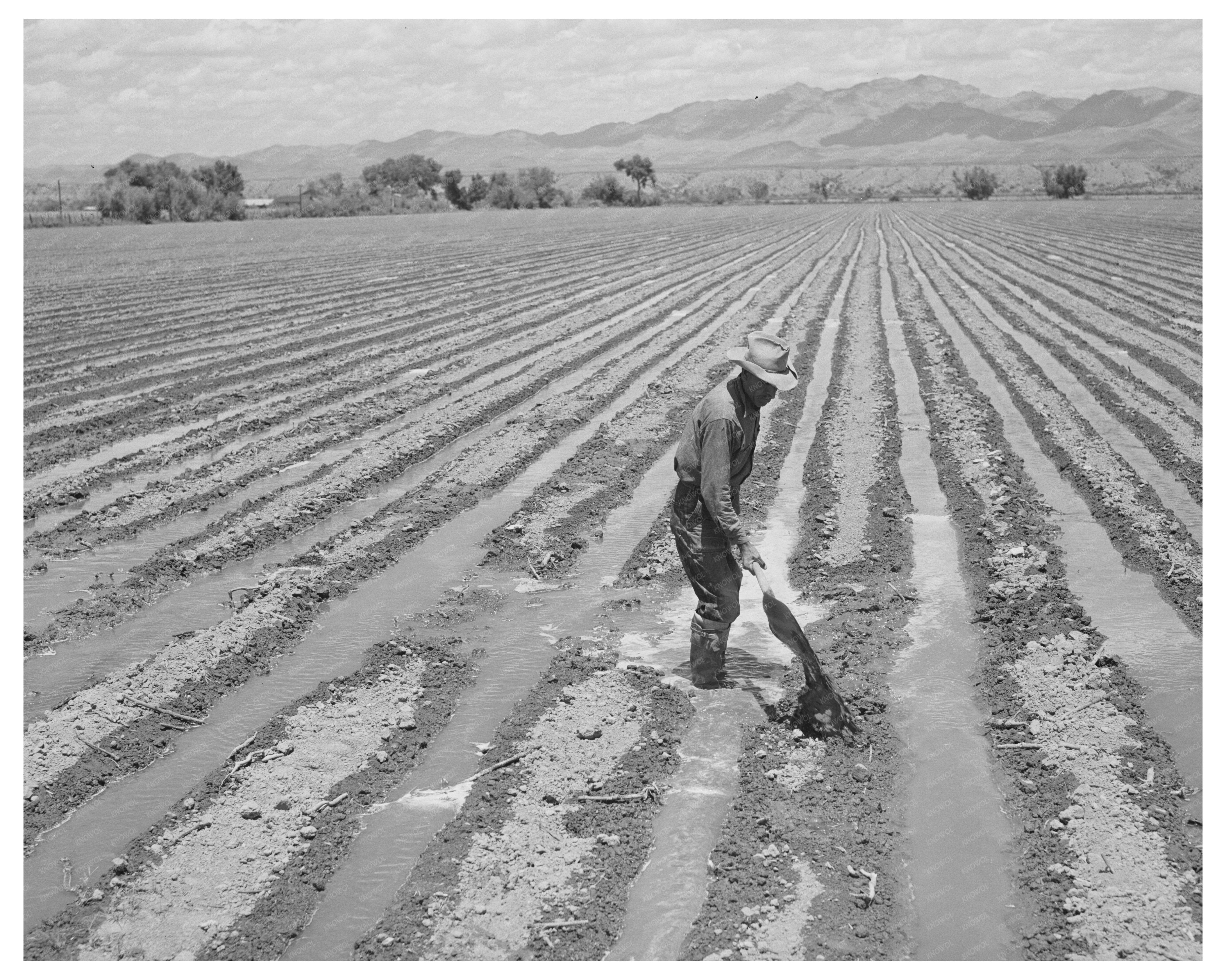 Irrigation Practices in Solomonsville Arizona May 1940