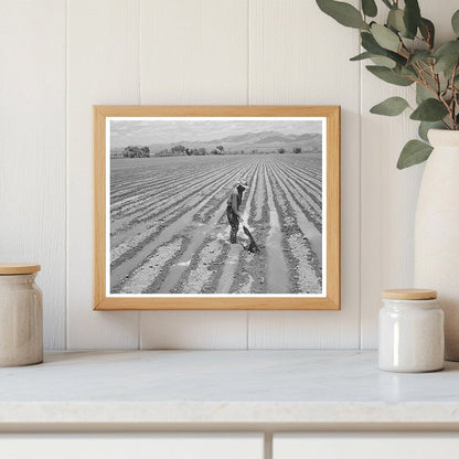 Irrigation Practices in Graham County Arizona May 1940