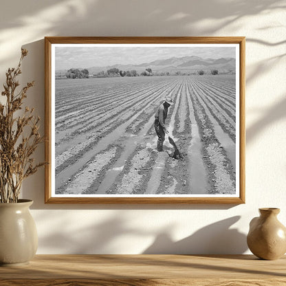 Irrigation Scene in Solomonsville Arizona May 1940