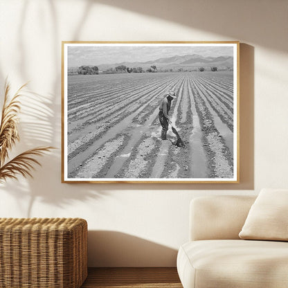 Irrigation Scene in Solomonsville Arizona May 1940