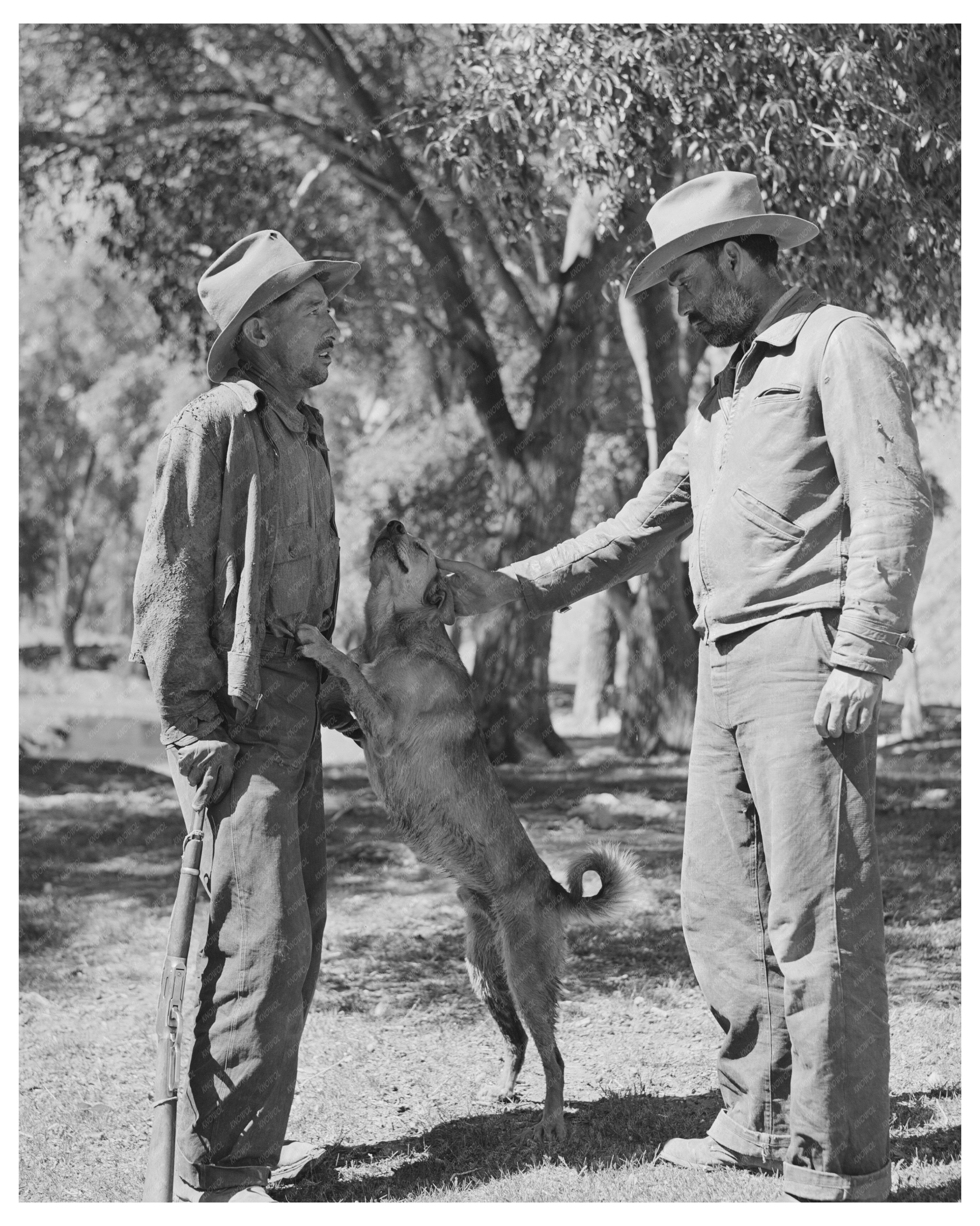 Rancher and Herder in Catron County New Mexico 1940