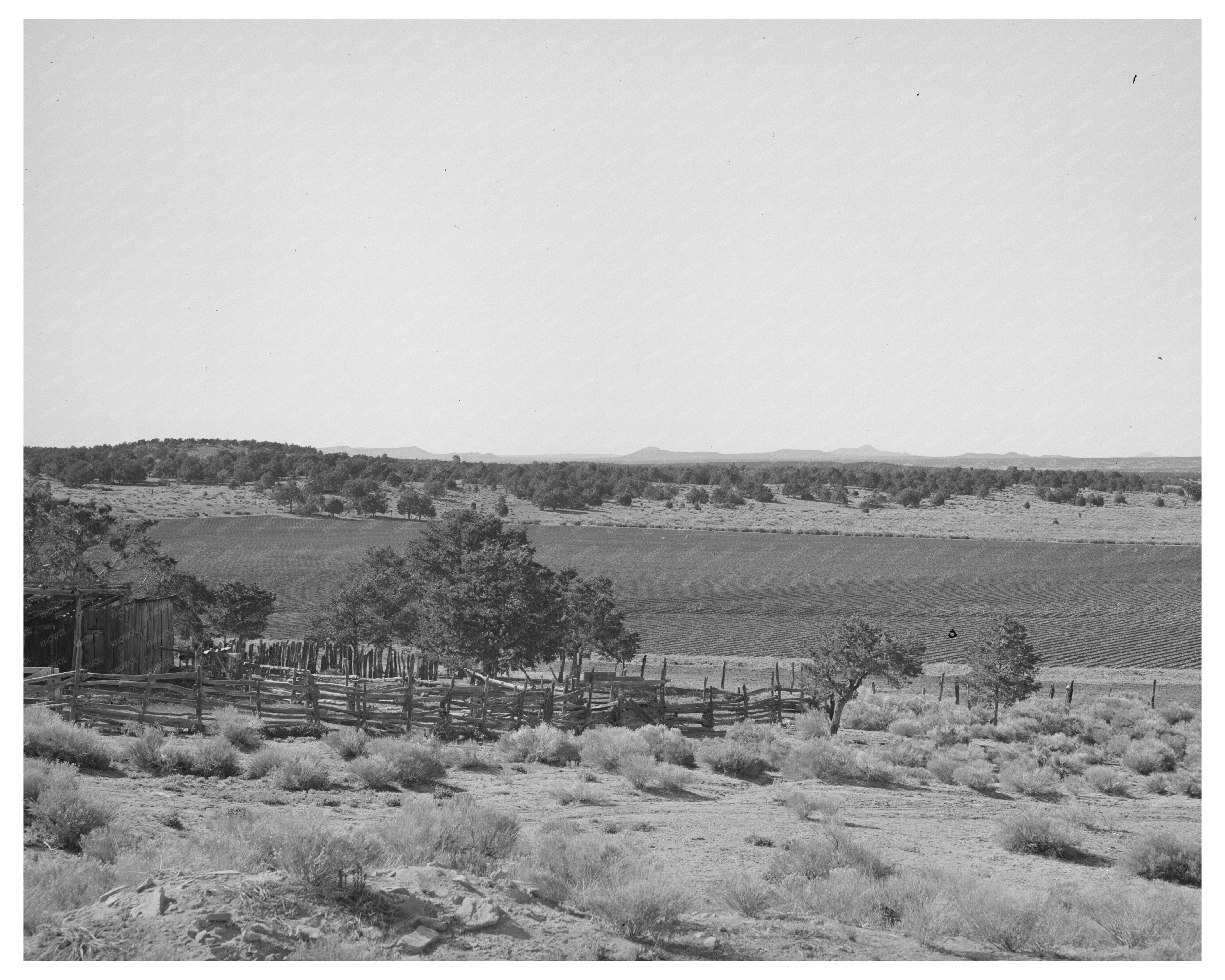 Homesteader Corral in Pie Town New Mexico June 1940