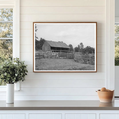 Vintage 1940 Homesteader Barn in Pie Town New Mexico