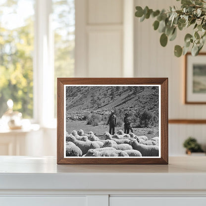 Rancher and Sheep Herder in Catron County New Mexico 1940