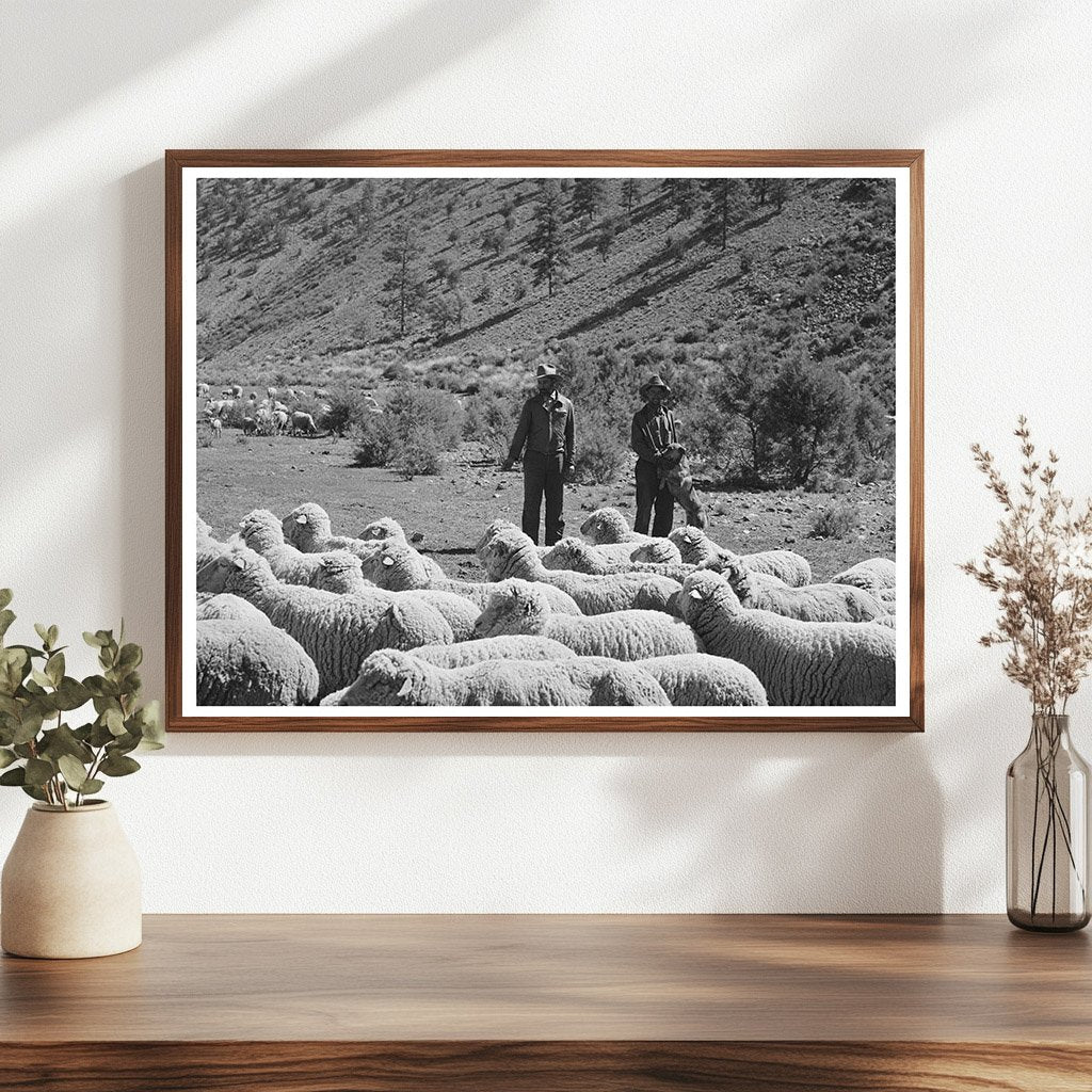 Rancher and Sheep Herder in Catron County New Mexico 1940