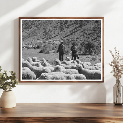 Rancher and Sheep Herder in Catron County New Mexico 1940