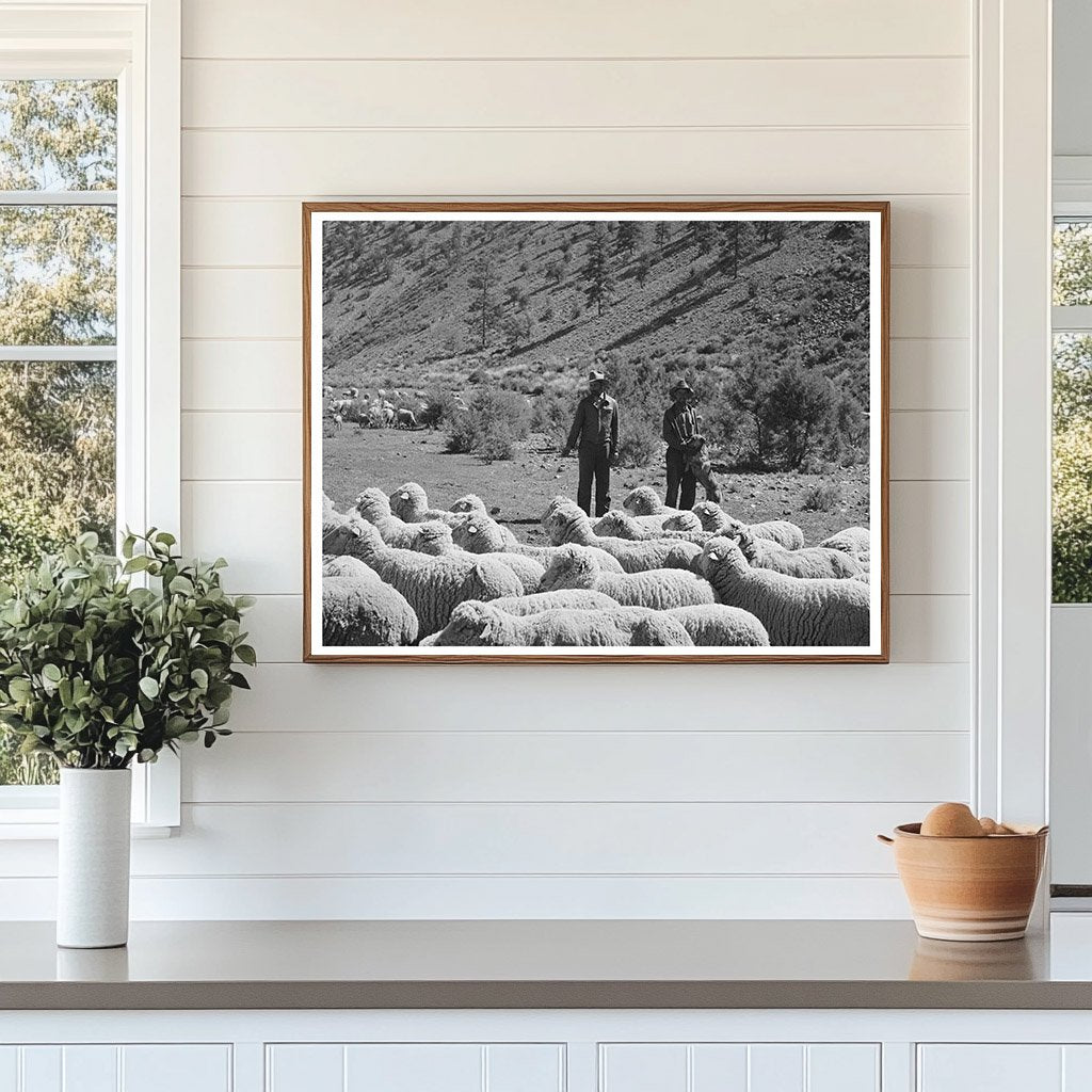 Rancher and Sheep Herder in Catron County New Mexico 1940