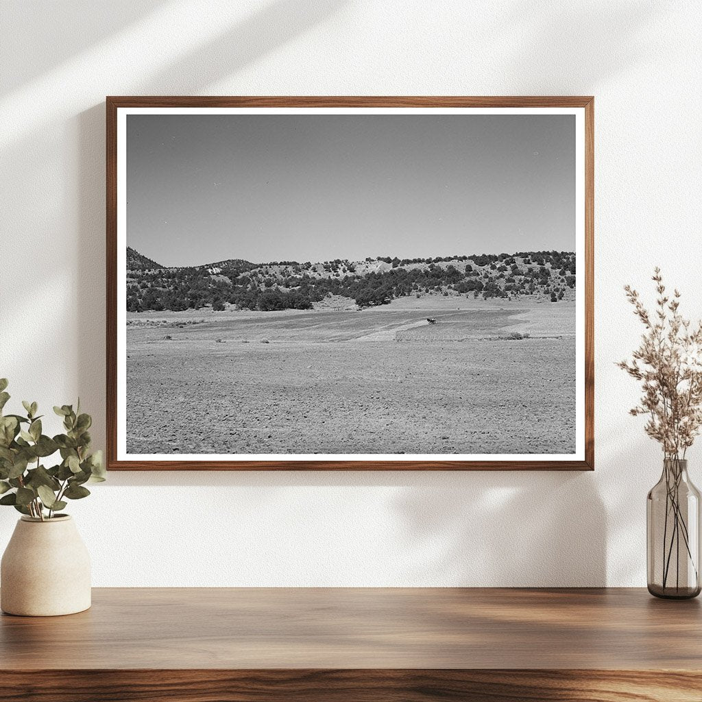 1940 Farming Scene in Pie Town New Mexico