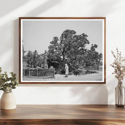 Hutton Farm Seed Bed in Pie Town New Mexico 1940