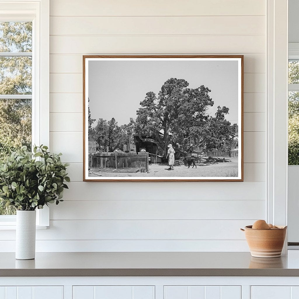 Hutton Farm Seed Bed in Pie Town New Mexico 1940