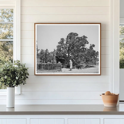 Hutton Farm Seed Bed in Pie Town New Mexico 1940