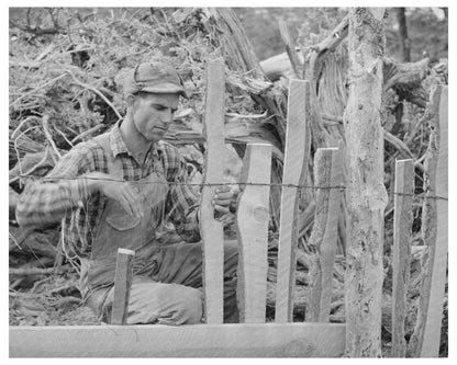 Jack Whinery Fencing with Rails in Pie Town New Mexico 1940