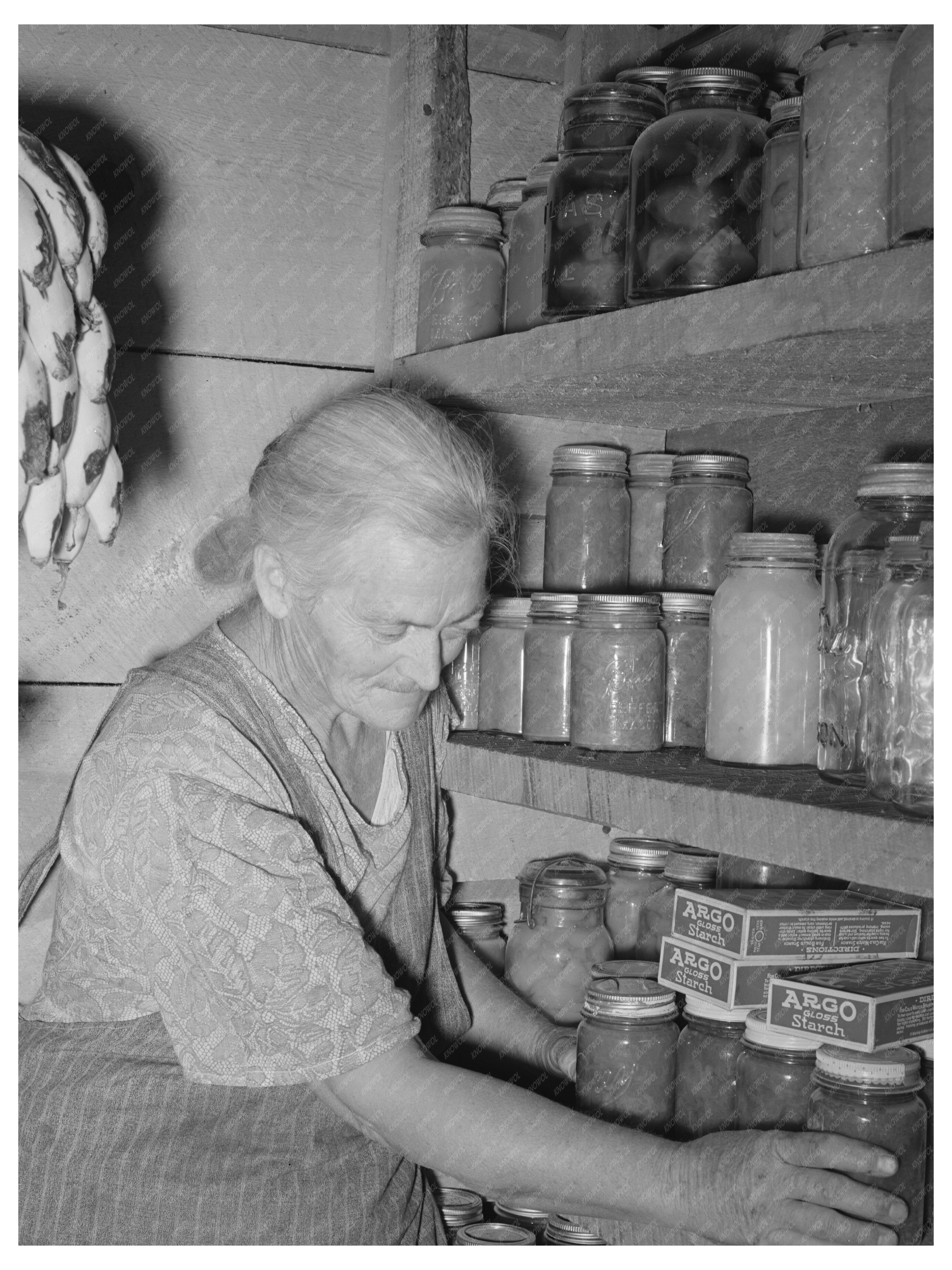 Mrs. Hutton in Storage Cellar Pie Town New Mexico 1940