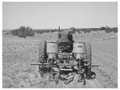 George Hutton Jr. Planting Beans Pie Town New Mexico 1940