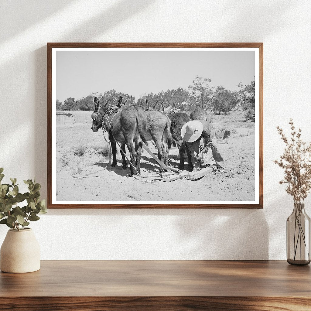 Leatherman Hitching Burros in Pie Town New Mexico 1940