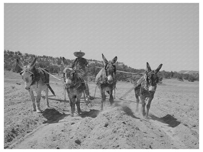 Mr. Leatherman Building Terraces in Pie Town 1940