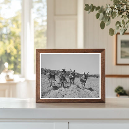 Mr. Leatherman Building Terraces in Pie Town 1940