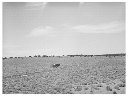 Farmer Hauling Water in Pie Town New Mexico June 1940