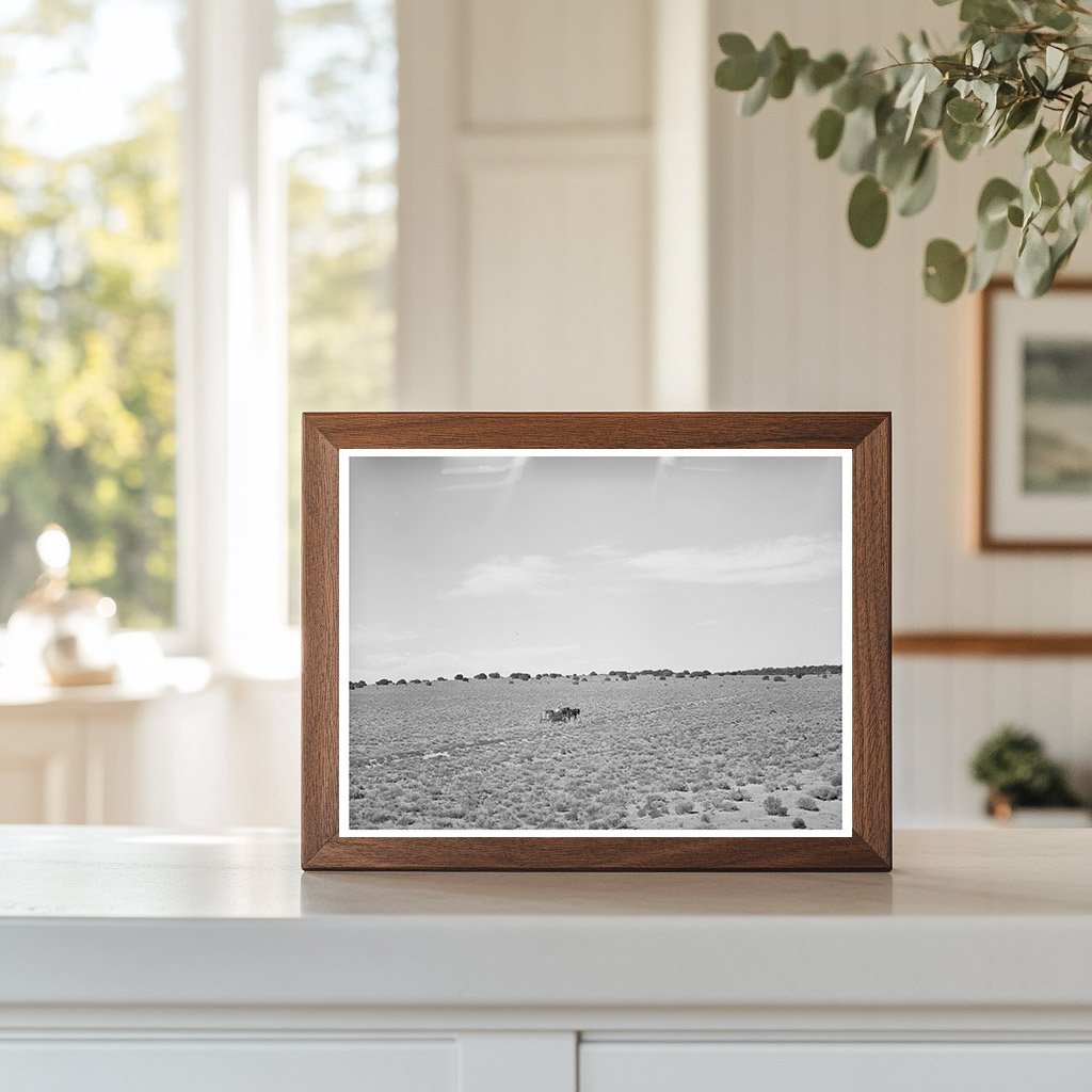 Farmer Hauling Water in Pie Town New Mexico June 1940