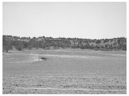Homesteaders Farm in Pie Town New Mexico 1940