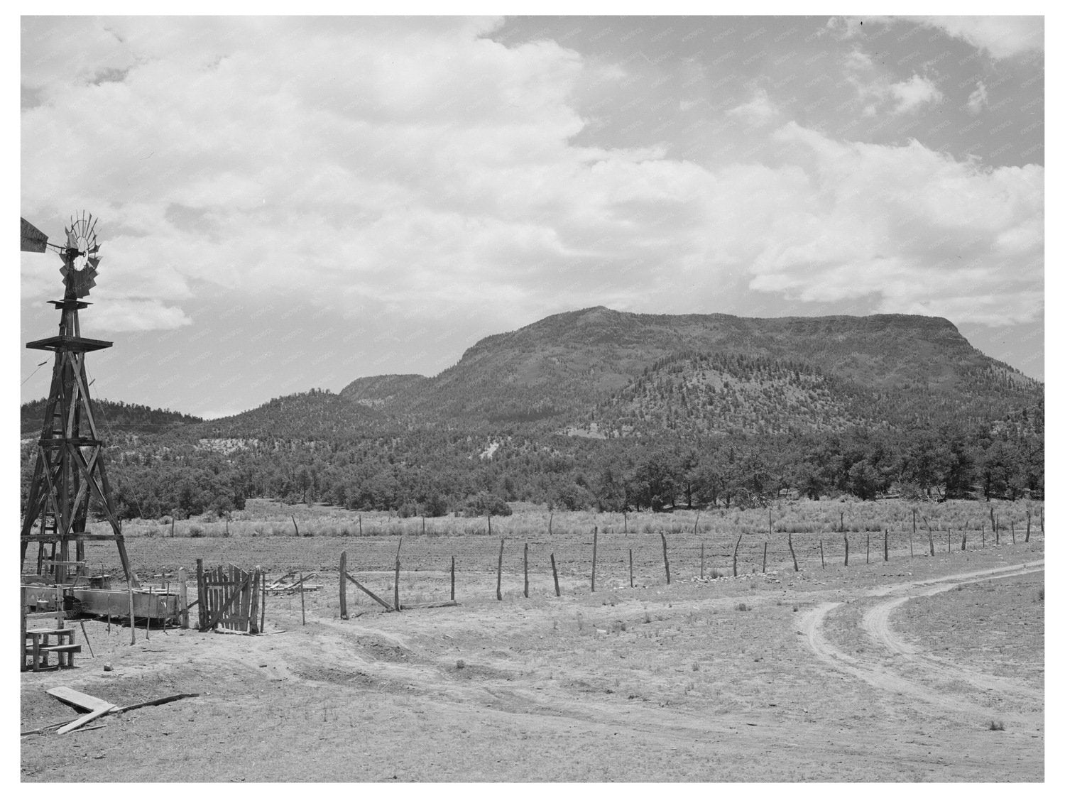 Pie Town New Mexico Farm Land June 1940 Rural Landscape