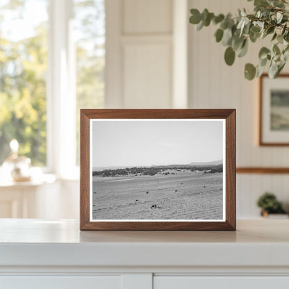 Farming Land in Pie Town New Mexico June 1940