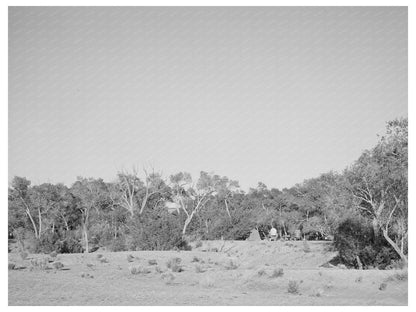 Cottonwood Grove Quemado New Mexico June 1940 Photo