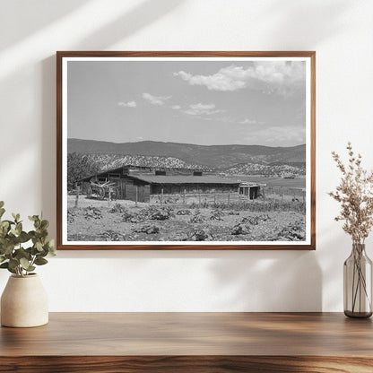 Hay and Cow Barn of Spanish-American Farmer 1940