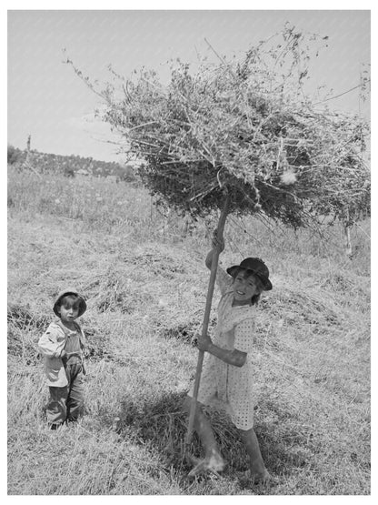 Spanish-American Girl Pitching Hay Taos County 1940