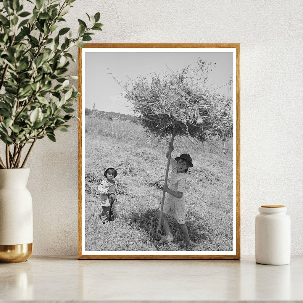 Spanish-American Girl Pitching Hay Taos County 1940