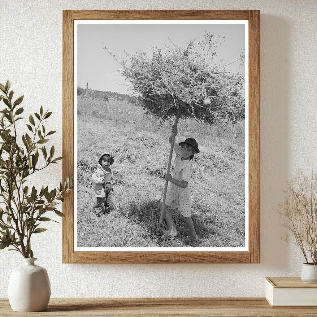 Spanish-American Girl Pitching Hay Taos County 1940