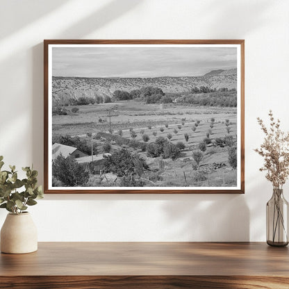 Dixon New Mexico Orchard July 1940 Vintage Photograph