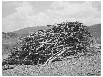 1940 Vintage Image of Spanish-American Farmers Wood Supply