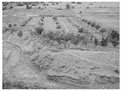 Spanish-American Farmers Garden in Chamisal New Mexico 1940