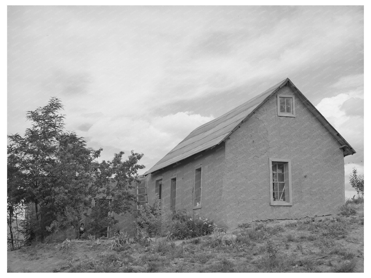 Spanish-American Farmer Home Chamisal New Mexico 1940