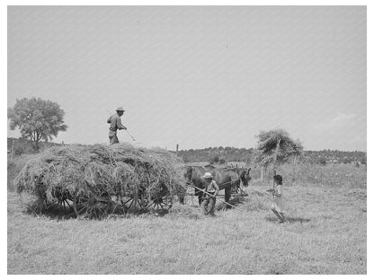 Farming Scene in Chamisal New Mexico July 1940