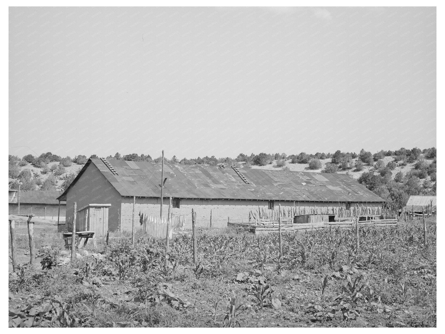 Vintage Barn in Penasco New Mexico July 1940 Photo