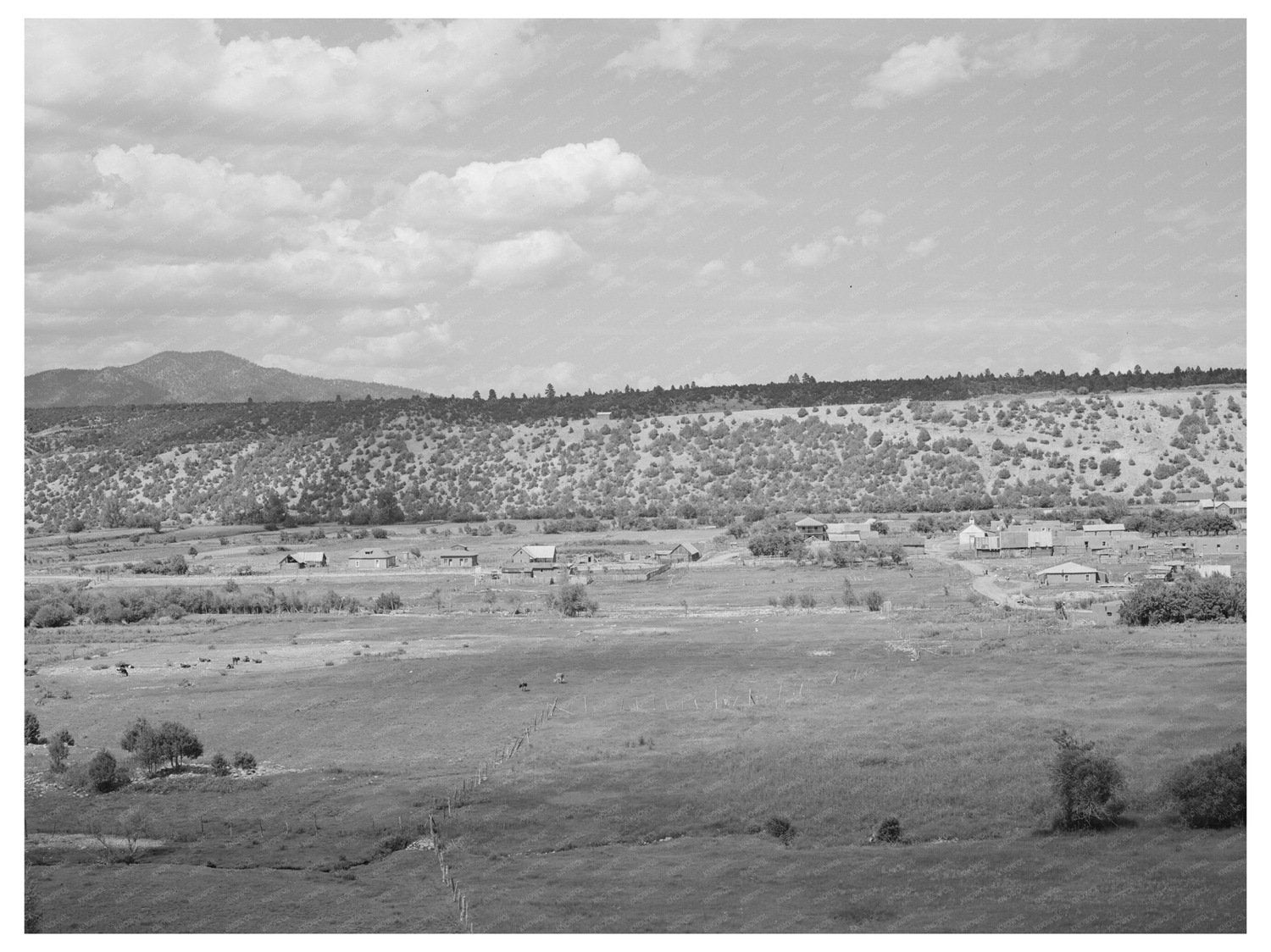 Rodarte Village New Mexico July 1940 Vintage Photo