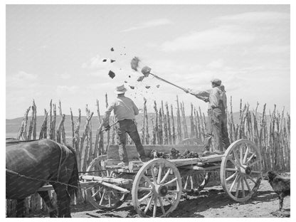 1940 Manure Disposal in Box Elder County Utah