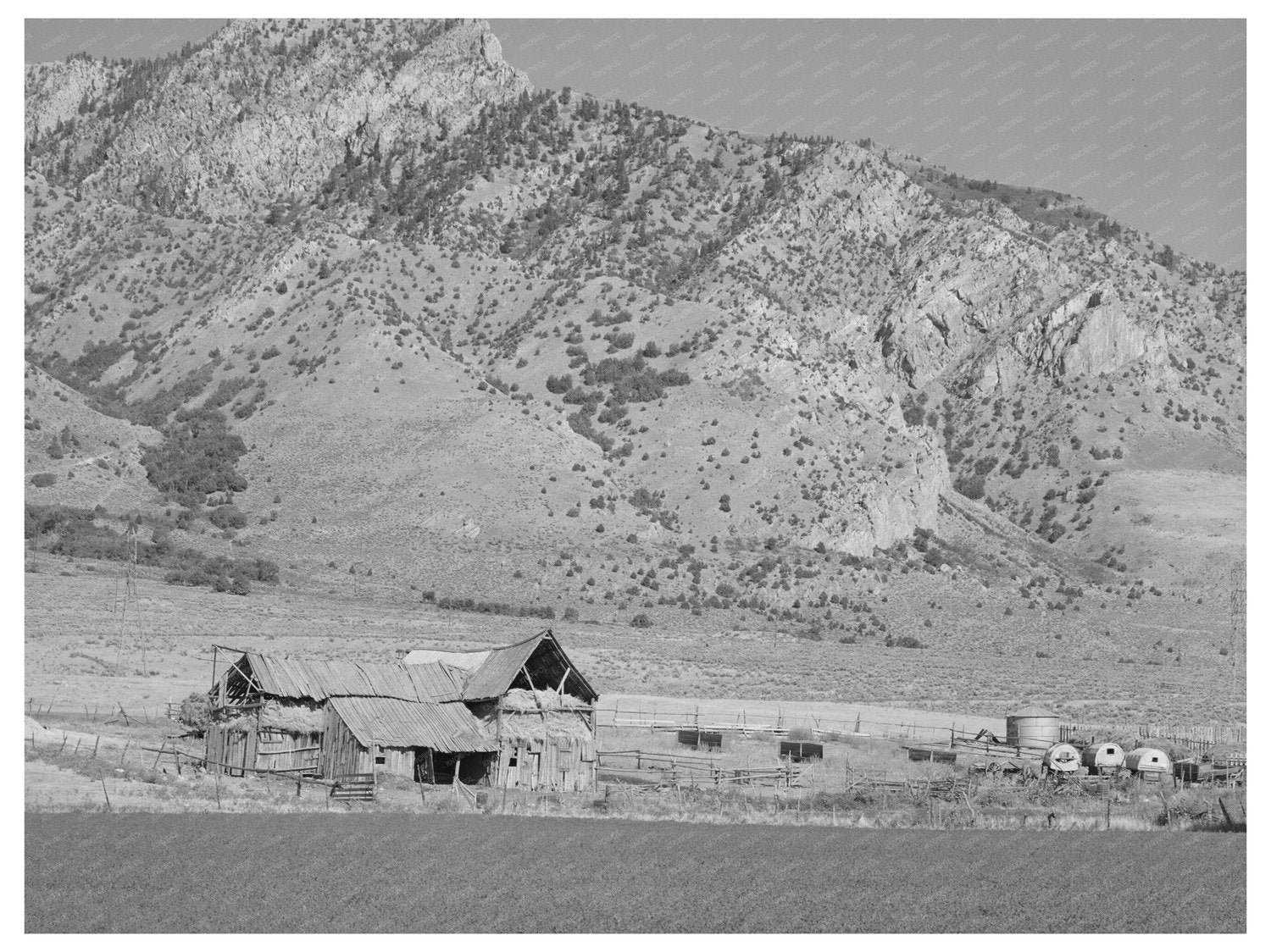 Mormon Farmer Barns Box Elder County Utah August 1940