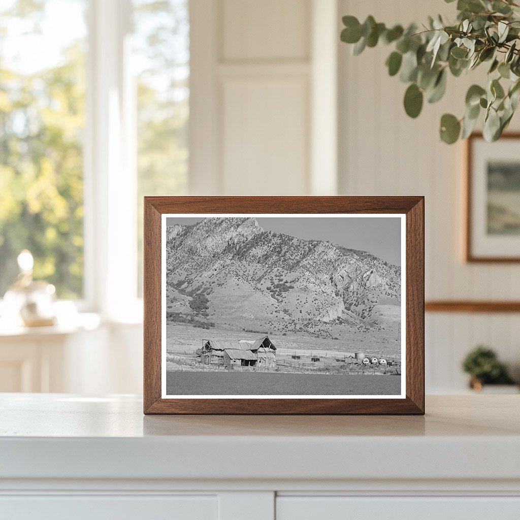 Mormon Farmer Barns Box Elder County Utah August 1940