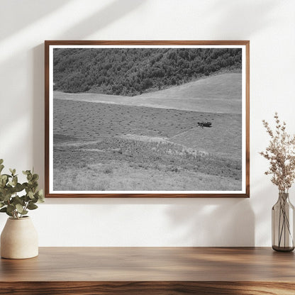Mountain Hay Field Cache County Utah August 1940