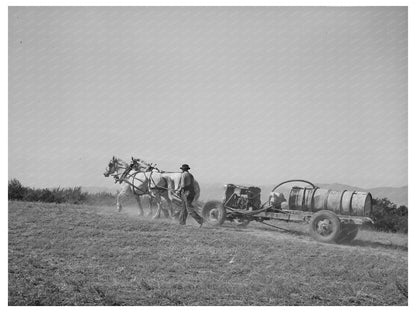 Mormon Farmer Driving Fruit Sprayer in Cache County 1940